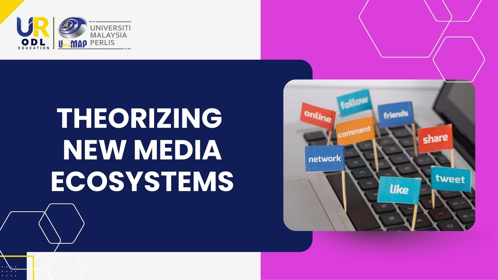 Theorizing New Media Ecosystems