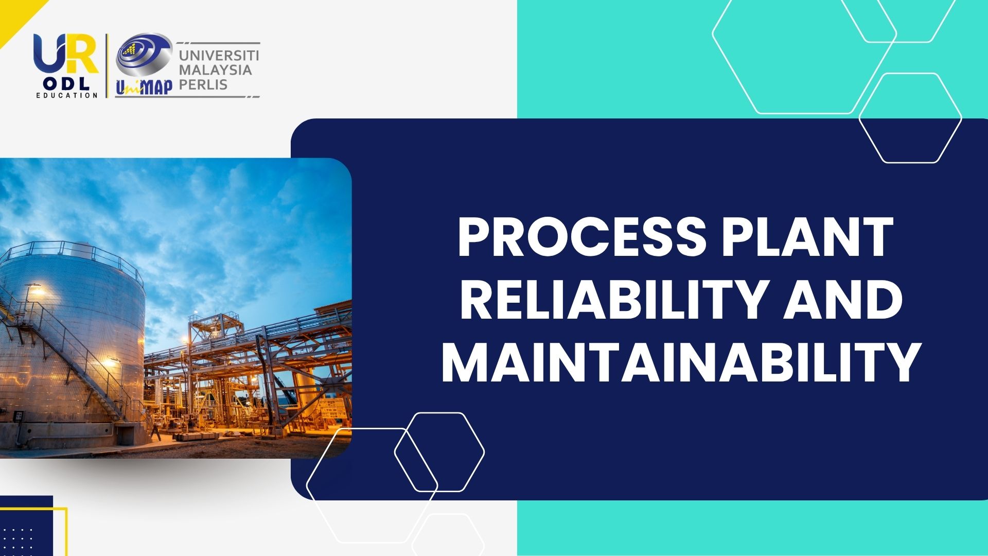 Process Plant Reliability and Maintainability