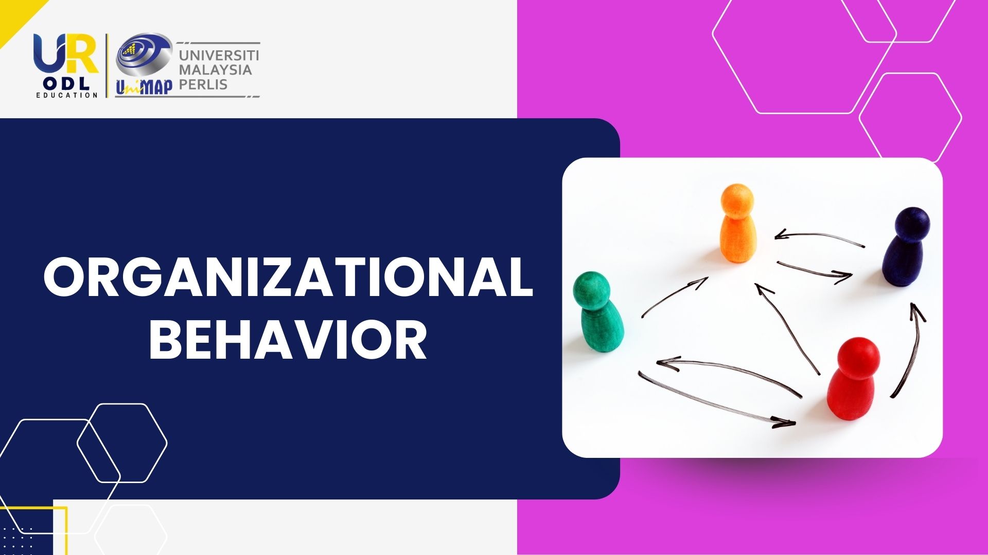Organizational Behavior