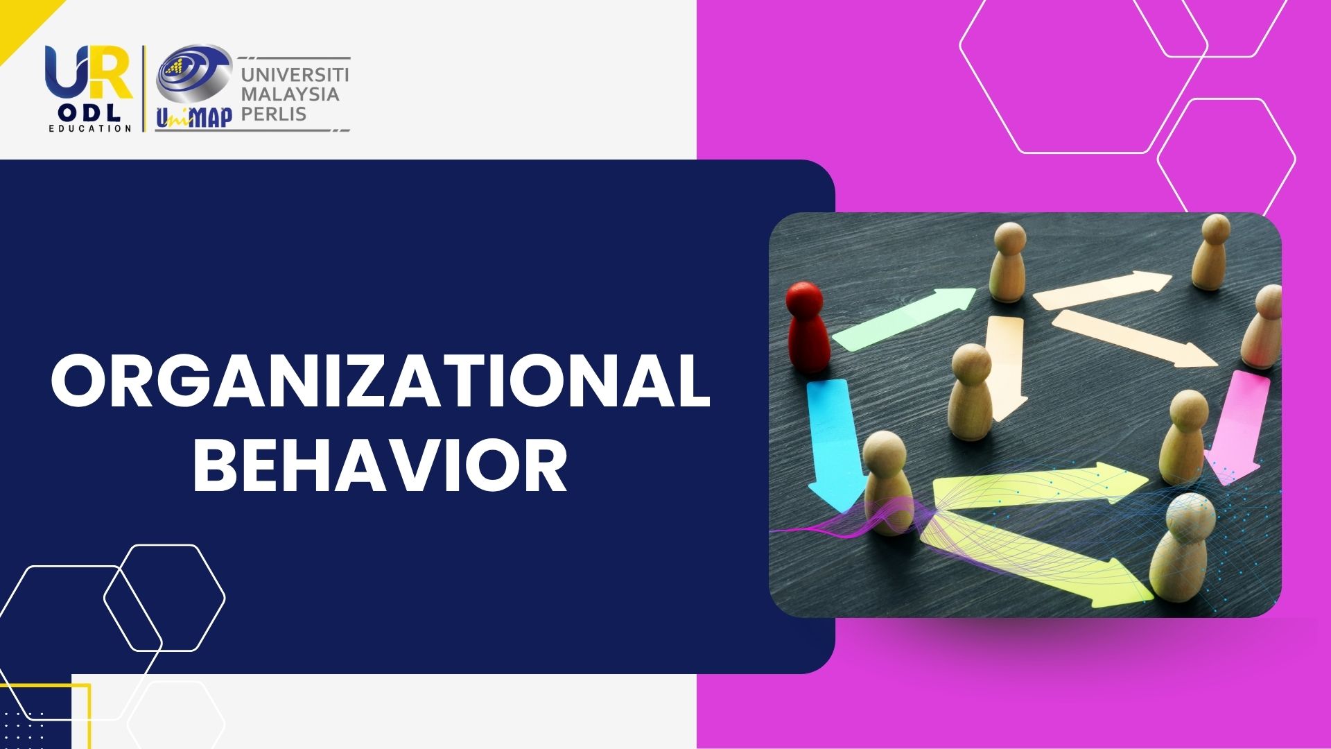 Organizational Behavior (SSP31102)